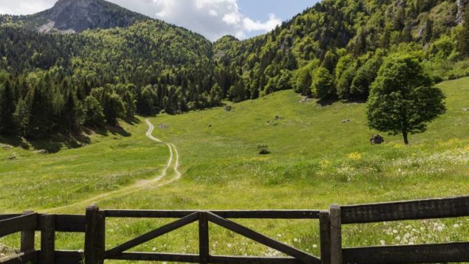 trento e trentino