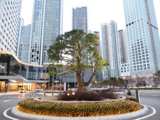 tree, nature, skyscrapers, architecture, city, skyscraper, modern, oasis, island, refugium, concrete desert