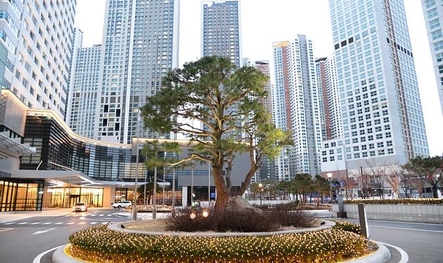 tree, nature, skyscrapers, architecture, city, skyscraper, modern, oasis, island, refugium, concrete desert